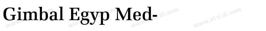 Gimbal Egyp Med字体转换